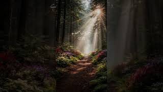 dakho Quran nasiyat ha bas Isa yad #islamicvideo