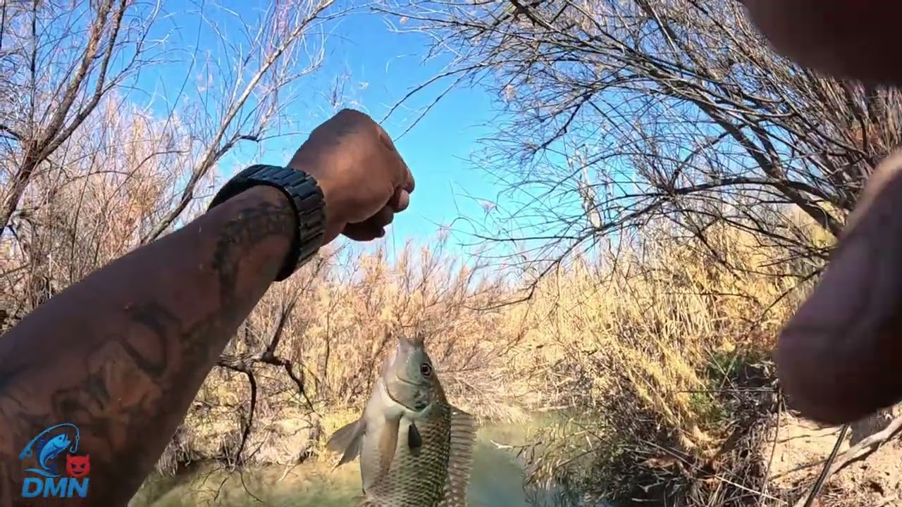 Rio san buenaventura coahuila 