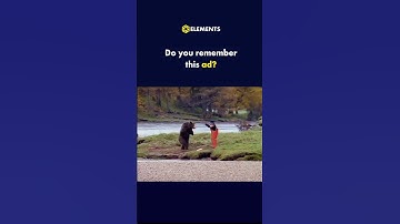 Man Fights Bear For Salmon!