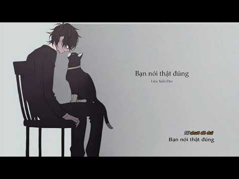 [ Vietsub + Pinyin ] Bạn nói thật đúng《你说得对》 - Liêu Tuấn Đào 廖俊涛