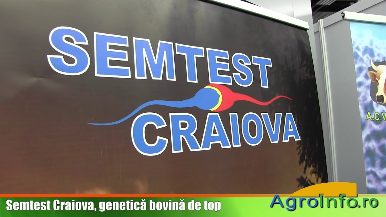 Semtest Craiova, genetică bovină de top