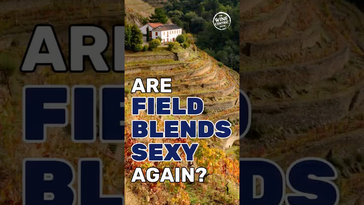 40 grapes. 🍇 One wine. 🍷 Why Portugal’s Douro Valley field blends are back.