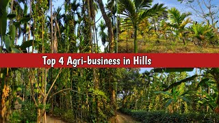 Top 4 Profitable Agri-Business In Hills
