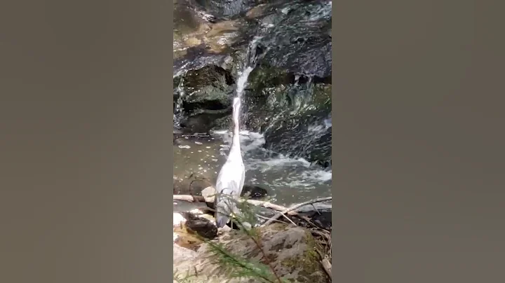 fishing and watching me