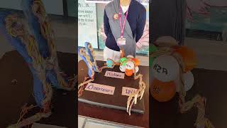 Nucleosome Model by Anjali