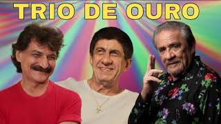 SELEÇÃO TRIO DE OURO FAGNER ZÉ RAMALHO BELCHIOR SAFRA BRILHANTE TOP DA NOSSA MÚSICA