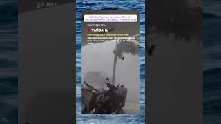 taiwan typhoon kongray 251 Kmh The Most Powerful In 30 Years251 31 October 2024