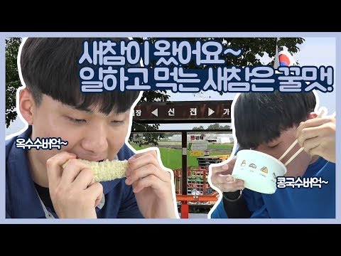 [숏클립] 새참이 왔어요~ 일하고 먹는 <strong>새참은</strong> 꿀맛! (2019.07.26,금)