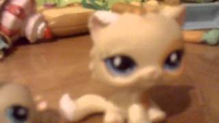 Famous Mi colecci�n de littlest Pet shop Profile
