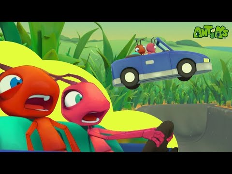 Need for Speed! Racecar Chaos! 🚗💨 | 🐛 Antiks & Insectibles 🐜 | Funny Cartoons for Kids | Moonbug