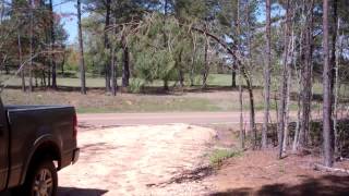 Pioneer Auction & Realty llc 3.1 ac. Close to Mallard Pointe Golf Course Sardis Lake screenshot 5