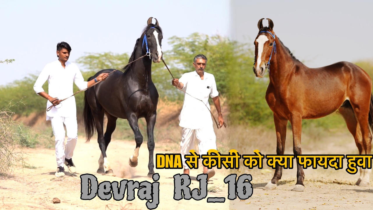 जालौर का देवराज दिलशान का बेटा अपने जिले के नाम पर रखा देवराज RJ 16 नाम
