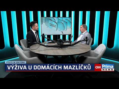 Děláte tyto chyby ve stravě mazlíčků? Veterinář varuje: Zkracujete jim život