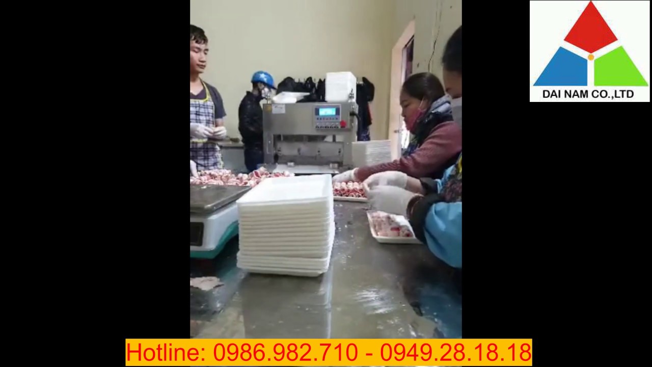 Máy thái thịt đông lạnh QP4