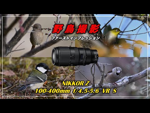 ★野鳥・スポーツ撮影に威力を発揮！★Nikon D7100★高精度なピント合わせ ☆野鳥・スポーツ撮影に威力を発揮！☆Nikon D7100☆高精度な