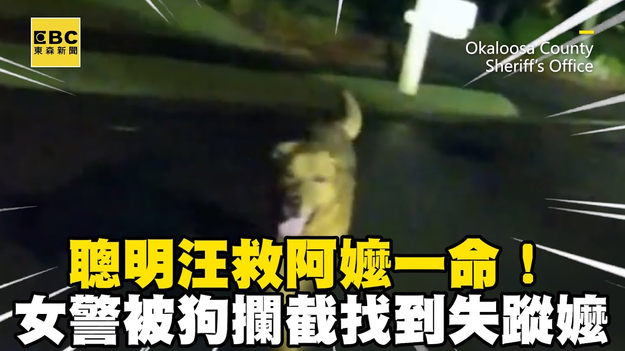 聰明汪救阿嬤一命！女警深夜巡邏被狗攔截意外找到失蹤嬤