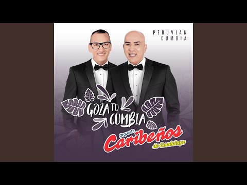 Ver video de Muriendo De Amor Por Ella