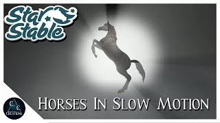 Star Stable Online Horses In Slow Motion