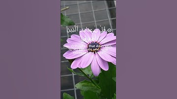 قُلۡ یَـٰعِبَادِیَ الَّذِينَ أَسْرَفُوا عَلَىٰ أَنفُسِهِمْ  ٥٣  سورة الزُّمَرِ   تلاوة أدهم نابلسي