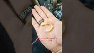 OLD FRY FROM MCDONALDS TWO WEEKS AGE look