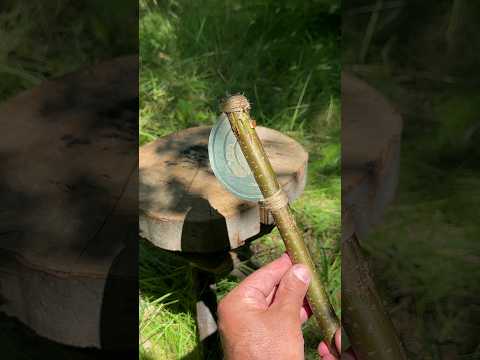 Survival Skills: Lifehack