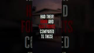 Case 277 #casefilepodcast #podcast #truecrime