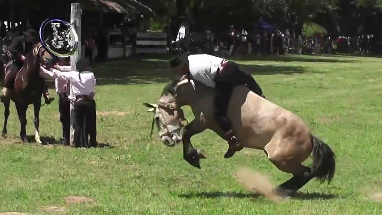 Cayasta, Clasificacion Categ. Clina 2025, Fiesta Prov. de la Doma, 23 de Noviembre 2025