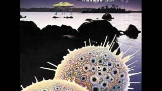 alien project - DNA