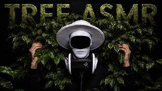 Tree ASMR | Soft Leaf Sounds Close to Your Ears | No Talking