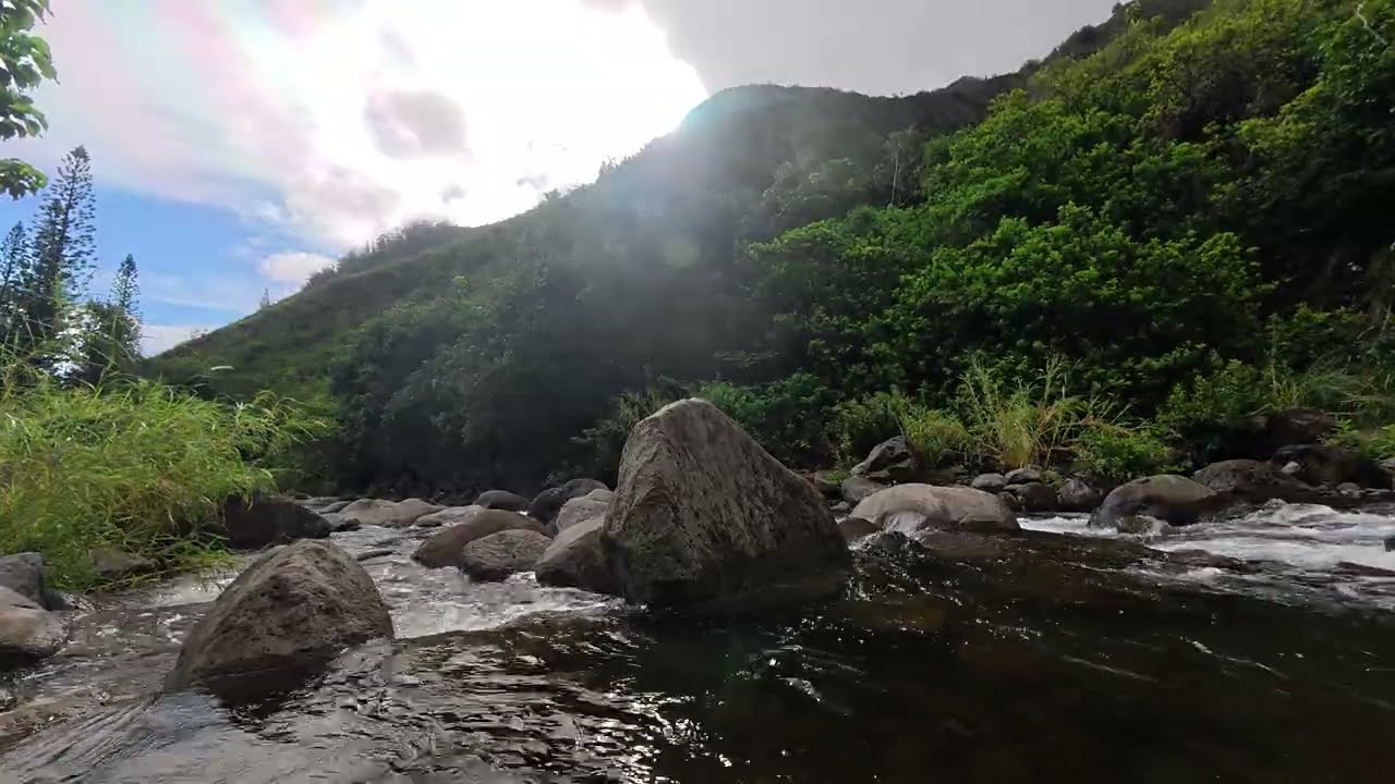 2025-12-31 [We] 09-51 У горной реки после купания