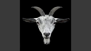 Meatra Mode - DopeJygg