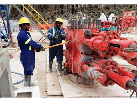 PNG Industry Manpower Solutions