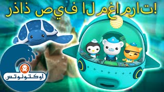 أوكتونوتس | 💦 رذاذ صيف المغامرات!☀️ | حلقات مجمعة