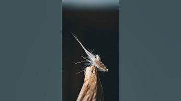 60 seconds fly tying - HOVERING SHRIMP - Tutorial #flytying #flytyingforbeginners #tutorial