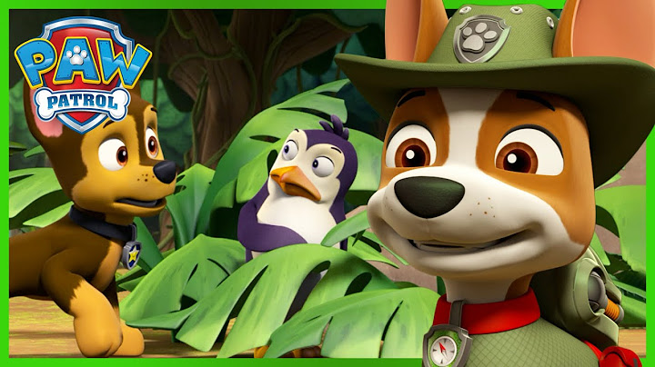 A dzsungelmentő kutyik segítenek a pingvineknek hazajutni! - Mancs Őrjárat - PAW Patrol epizód