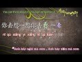 Ánh trăng nói hộ lòng em - 月亮代表我的心 [VietSub+kara] Pinyin