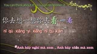 Ánh trăng nói hộ lòng em - 月亮代表我的心 [VietSub kara] Pinyin