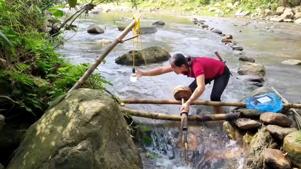 Designing a mini water and electricity supply system, building a farm