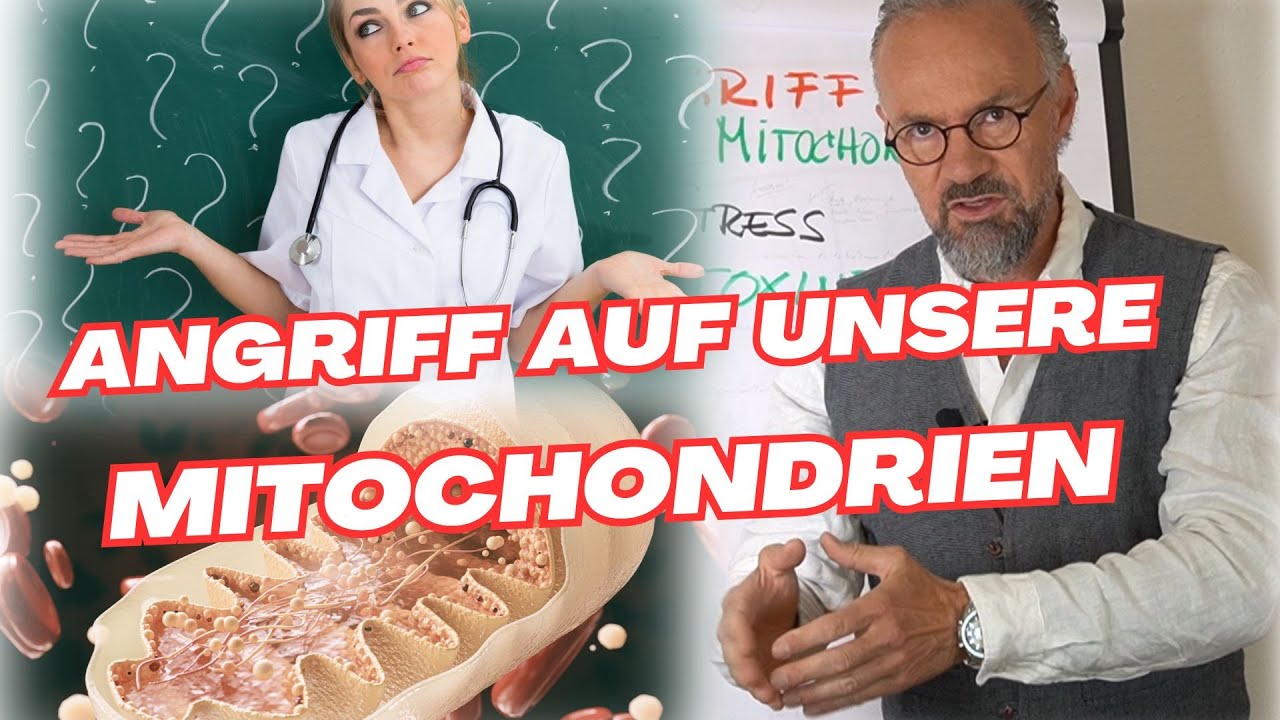 9 Mitochondrien Killer, die du kennen solltest - DAS raubt dir deine ENERGIE 💪