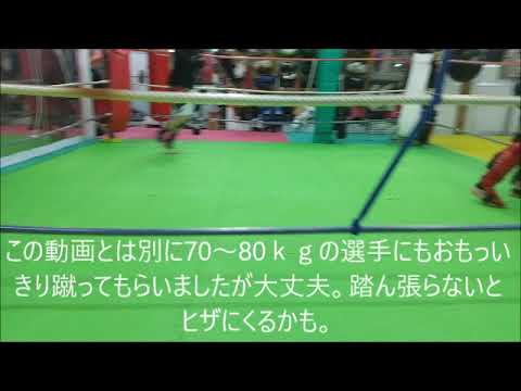 カーフキック用ミット使用感レビュー #カーフミット #カーフ