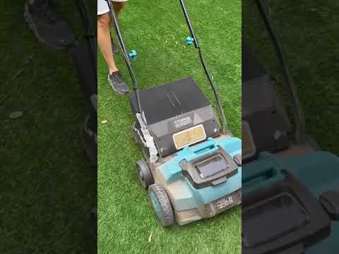 WhatsApp Video 2024 09 18 at 12 30 57