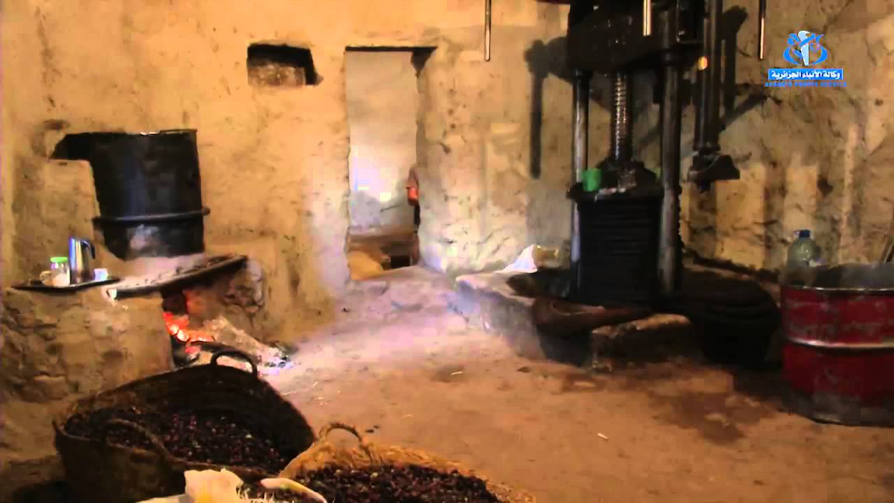 معاصرالزيتون التقليدية تعايش الزمن