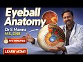 Eyeball Anatomy (Human Eye) in 5 Minutes 👁️ | Structure & Function Explained | Dr S Manna
