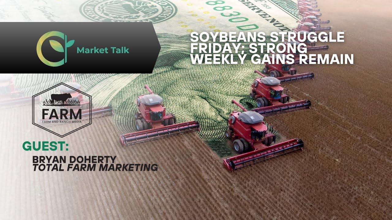 Soybeans Struggle Friday; Strong Weekly Gains Remain