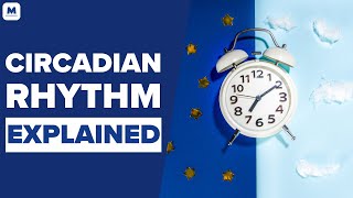 Circadian Rhythm: What Is It, How It Works, What Affects It | Mastering Diabetes | Dr Satchin Panda