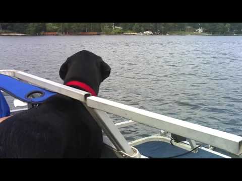 Onyx & Aiden's First Boat Ride