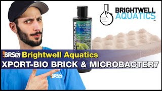 Short on biological filtration for your reef tank? Not anymore! Brightwell Xport-BIO w/ Microbacter7