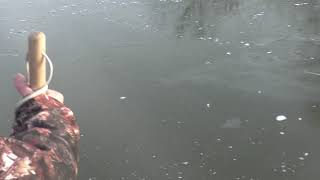 Видео Проверка льда на пруду и реках 13.11.18 (автор: Иван Перевощиков)