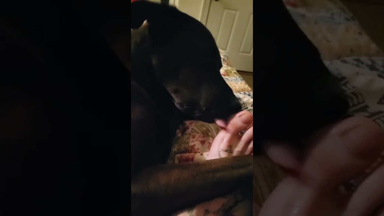 because the people have been asking for it...