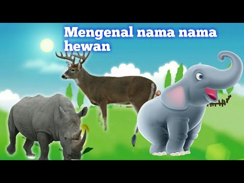 Belajar mengenal nama  nama  hewan  badak gajah ayam  rusa 